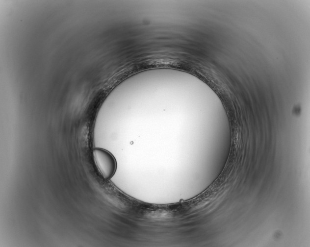 X0000099940551200805231023