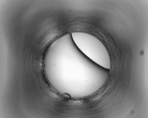 X0000099940553200805231023