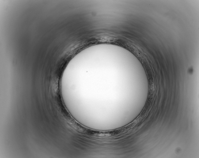 X0000099940554200805231023