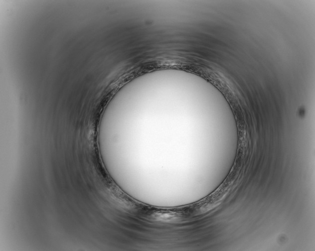 X0000099940557200805231023