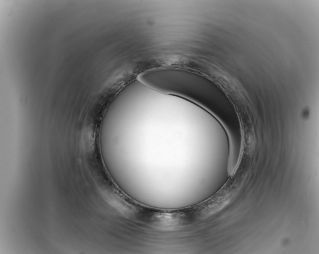 X0000099940558200805231023