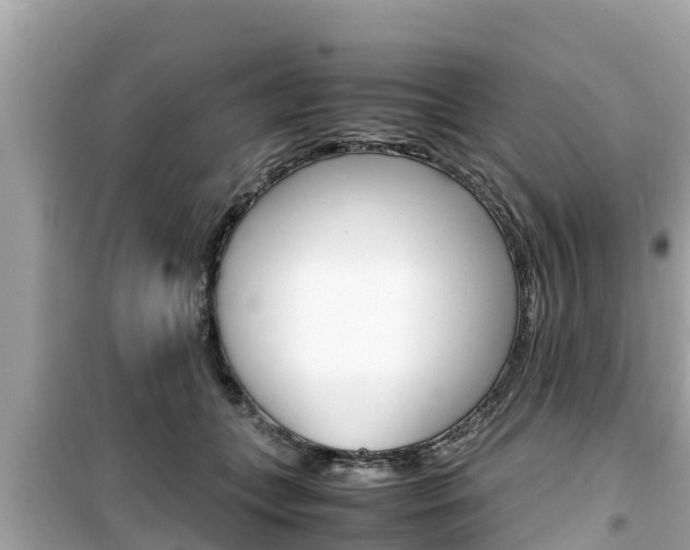 X0000099940559200805231023