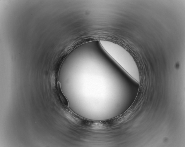 X0000099940562200805231023