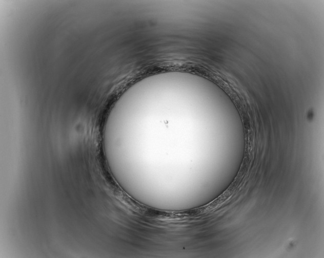 X0000099940563200805231023