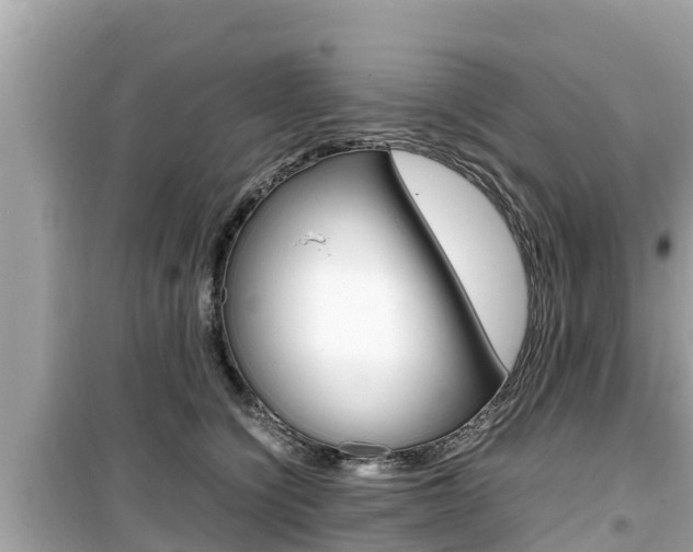 X0000099940564200805231023