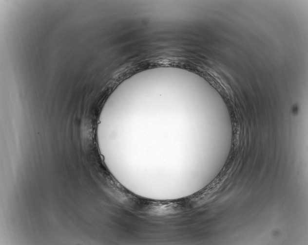 X0000099940569200805231023