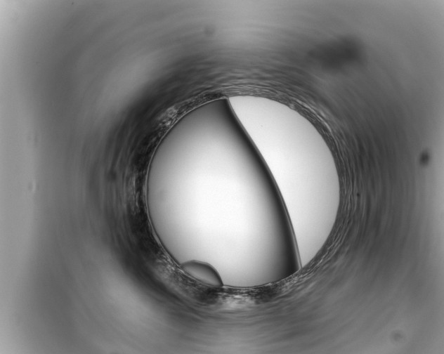 X0000099940572200805231023