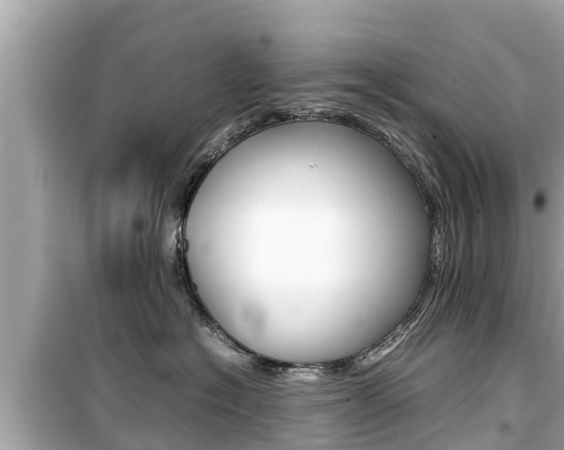 X0000099940574200805231023