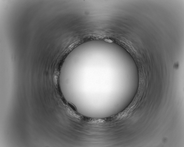 X0000099940576200805231023