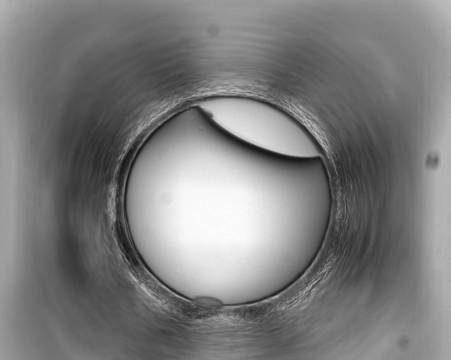 X0000099940578200805231022