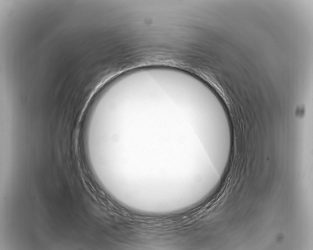 X0000099940579200805231022