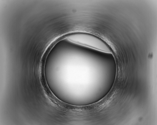 X0000099940580200805231022