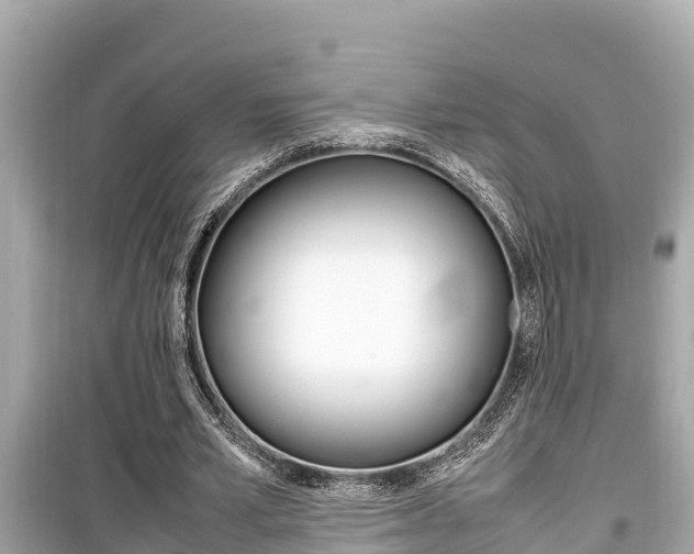 X0000099940581200805231022