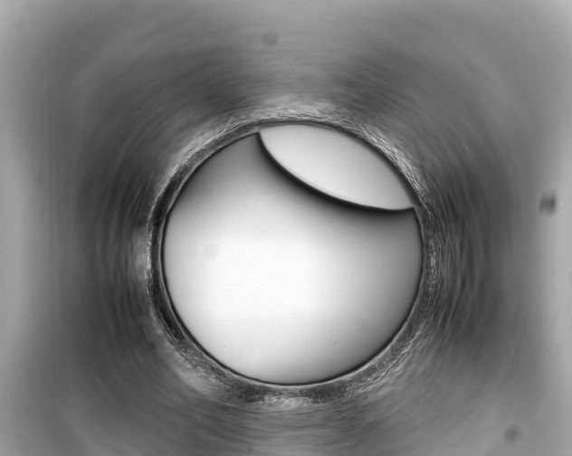 X0000099940582200805231022