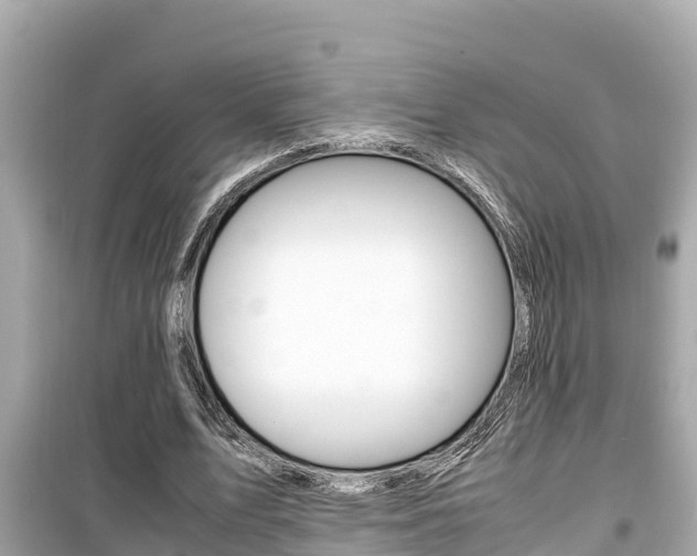 X0000099940583200805231022