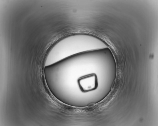 X0000099940585200805231022