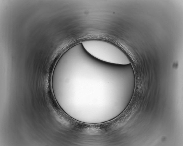 X0000099940586200805231022