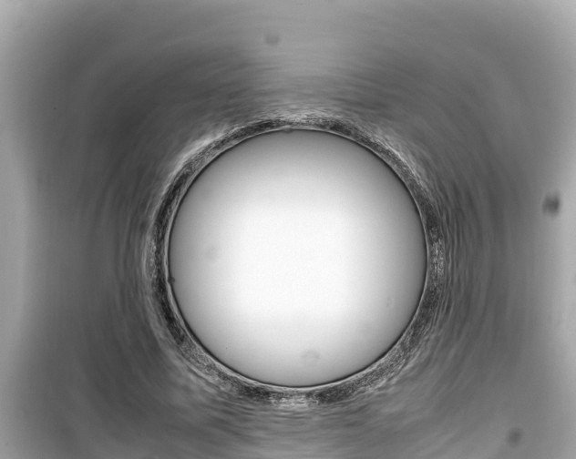 X0000099940587200805231022