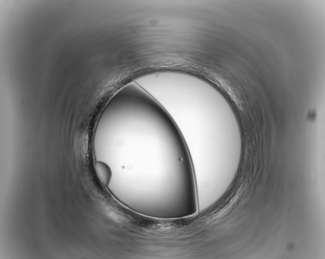 X0000099940589200805231022