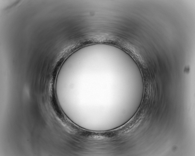 X0000099940590200805231022