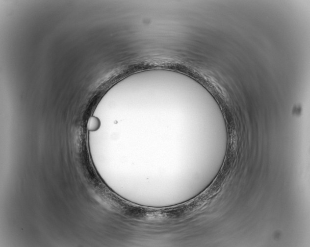 X0000099940591200805231022