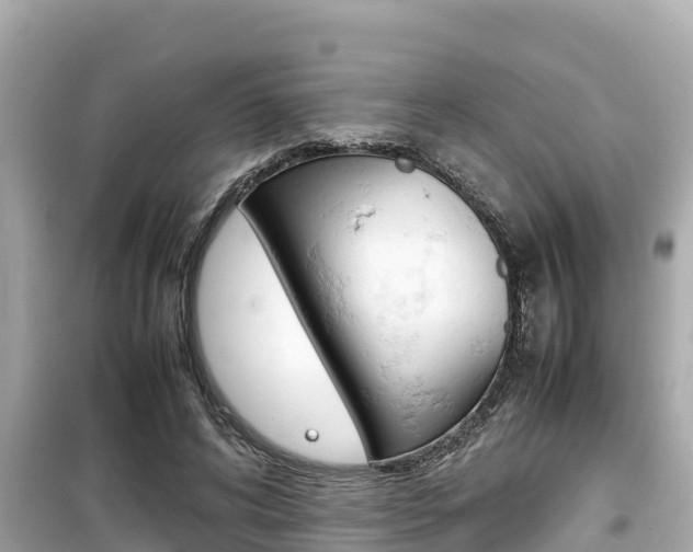 X0000099940592200805231022