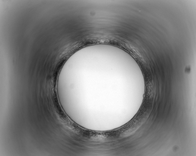 X0000099940594200805231022