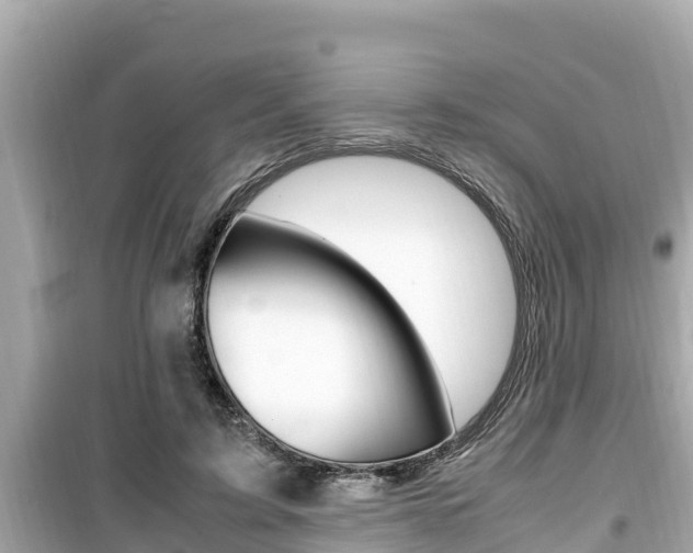 X0000099940595200805231022