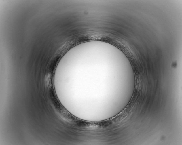 X0000099940598200805231022