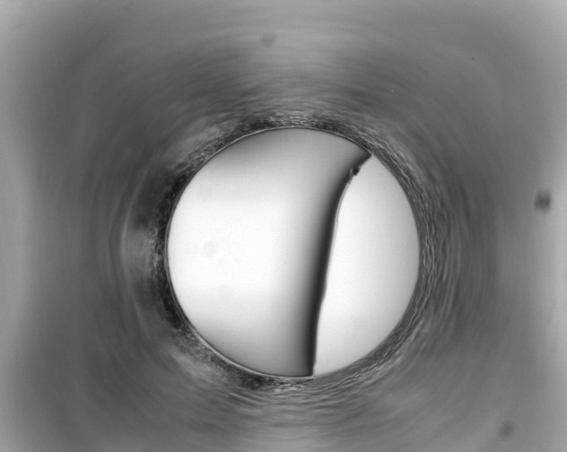 X0000099940599200805231022