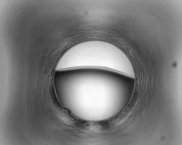 X0000099940601200805231022