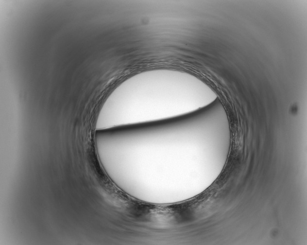 X0000099940603200805231022