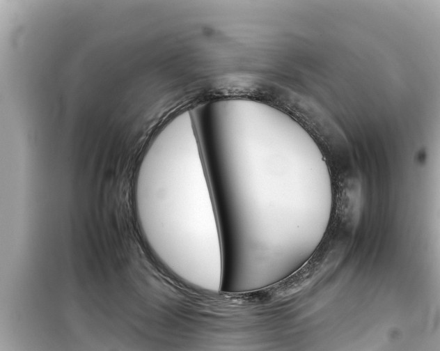 X0000099940604200805231022