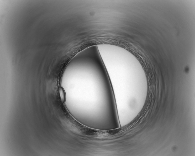 X0000099940605200805231022