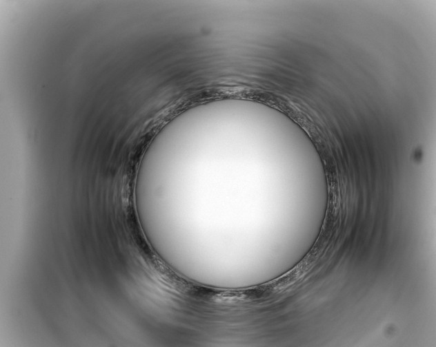 X0000099940606200805231022