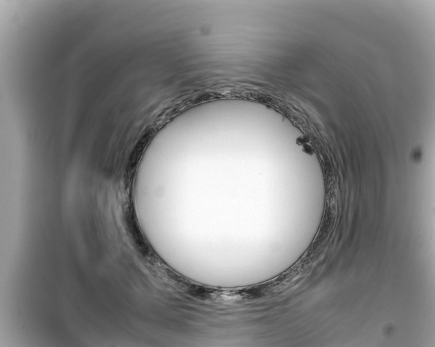 X0000099940607200805231022