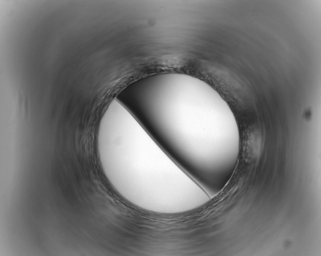 X0000099940608200805231022