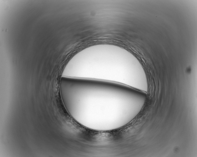 X0000099940609200805231022