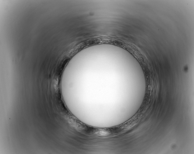 X0000099940610200805231022