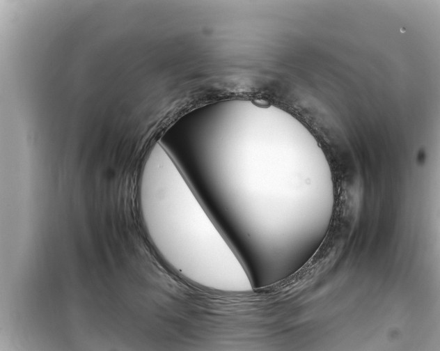 X0000099940612200805231022