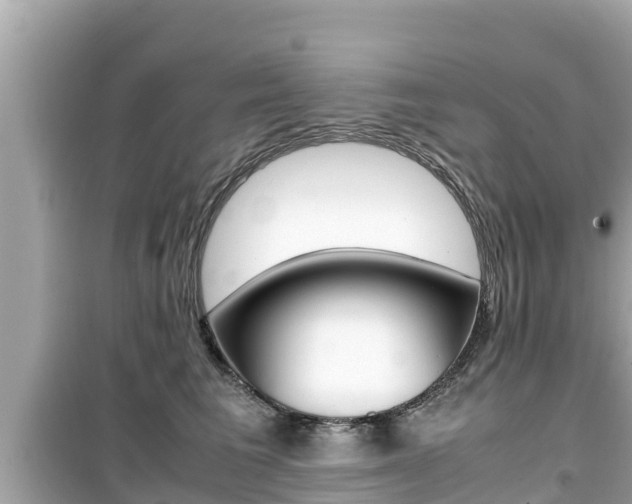 X0000099940613200805231022