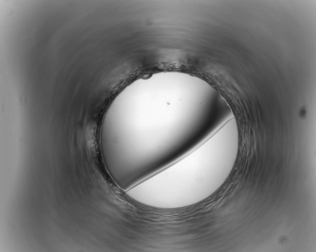 X0000099940616200805231022