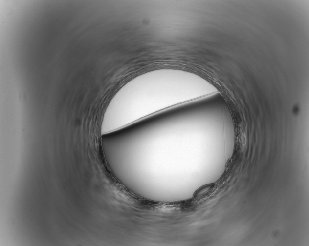 X0000099940619200805231022
