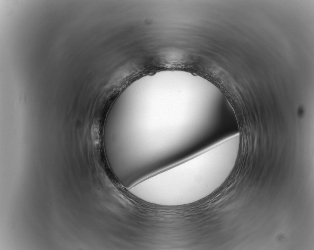 X0000099940620200805231022
