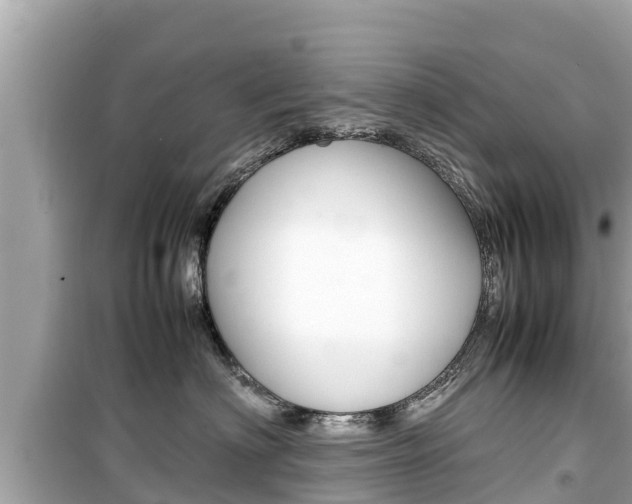 X0000099940622200805231022