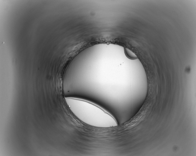 X0000099940624200805231022