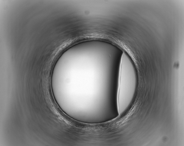 X0000099940625200805231021
