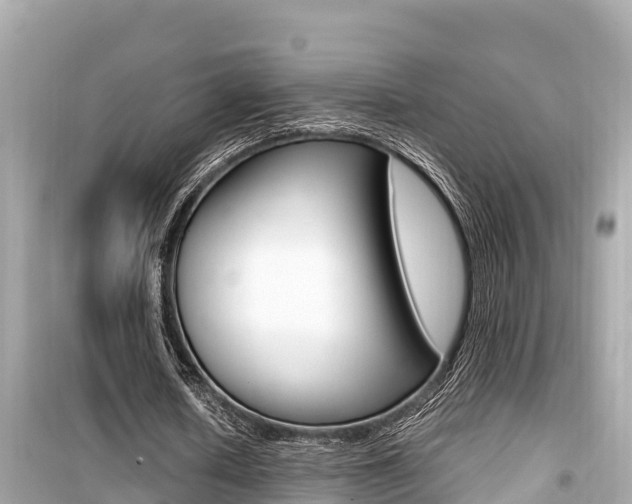 X0000099940626200805231021