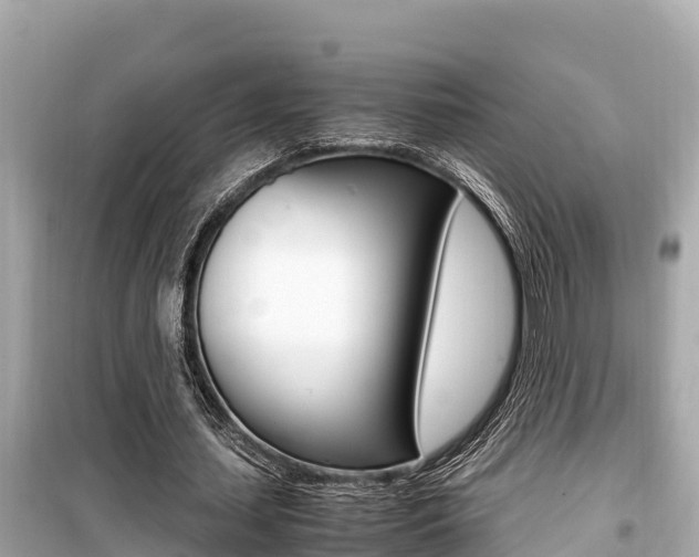 X0000099940627200805231021