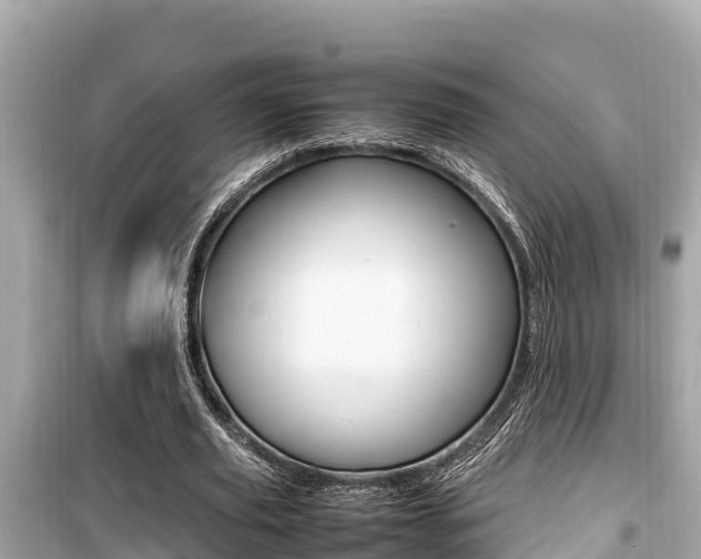 X0000099940629200805231021